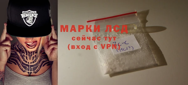 индика Лабытнанги