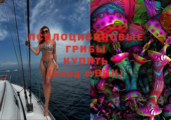 амф Липки