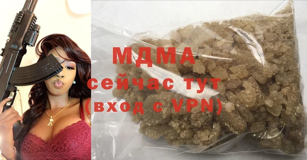 индика Лабытнанги