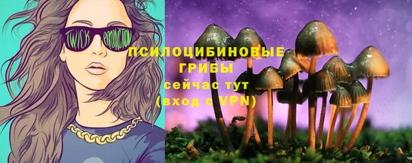 амф Липки