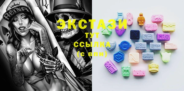 индика Лабытнанги