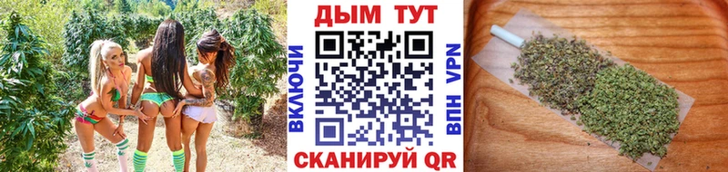 Купить где  Чудово  МАРИХУАНА ГИДРОПОН 